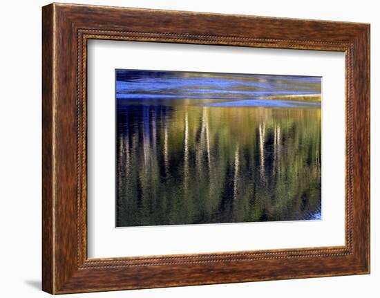 Washington_Quinault reflections-Art Wolfe-Framed Photographic Print