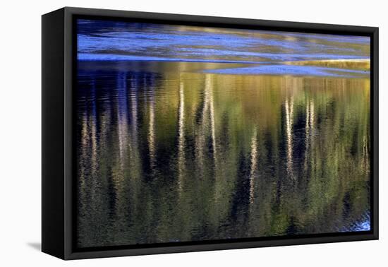Washington_Quinault reflections-Art Wolfe-Framed Premier Image Canvas