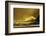 Washington_Quinault Seascape-Art Wolfe-Framed Photographic Print