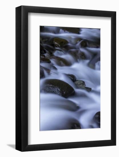 Washington_Rainier Waterfall II-Art Wolfe-Framed Photographic Print