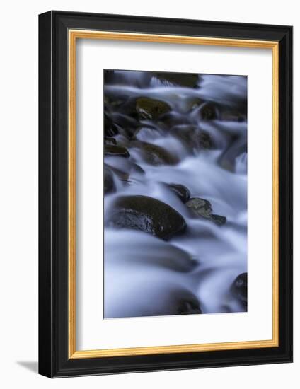 Washington_Rainier Waterfall II-Art Wolfe-Framed Photographic Print