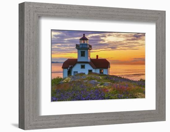 Washington, San Juan Islands. Patos Lighthouse and Camas at Sunset-Don Paulson-Framed Photographic Print