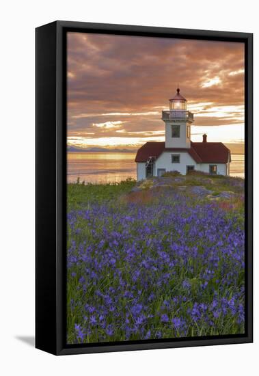 Washington, San Juan Islands. Patos Lighthouse and Camas at Sunset-Don Paulson-Framed Premier Image Canvas