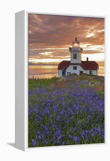 Washington, San Juan Islands. Patos Lighthouse and Camas at Sunset-Don Paulson-Framed Premier Image Canvas