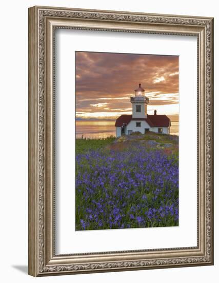 Washington, San Juan Islands. Patos Lighthouse and Camas at Sunset-Don Paulson-Framed Photographic Print