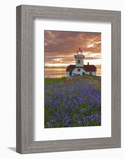 Washington, San Juan Islands. Patos Lighthouse and Camas at Sunset-Don Paulson-Framed Photographic Print