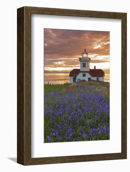 Washington, San Juan Islands. Patos Lighthouse and Camas at Sunset-Don Paulson-Framed Photographic Print