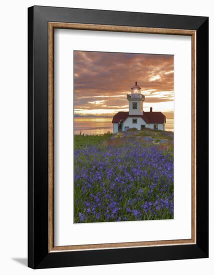 Washington, San Juan Islands. Patos Lighthouse and Camas at Sunset-Don Paulson-Framed Photographic Print