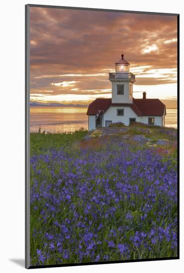 Washington, San Juan Islands. Patos Lighthouse and Camas at Sunset-Don Paulson-Mounted Photographic Print