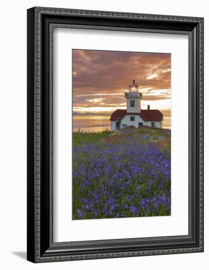 Washington, San Juan Islands. Patos Lighthouse and Camas at Sunset-Don Paulson-Framed Photographic Print