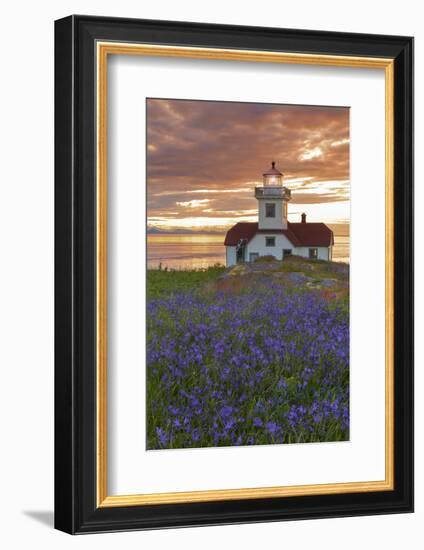 Washington, San Juan Islands. Patos Lighthouse and Camas at Sunset-Don Paulson-Framed Photographic Print