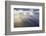 Washington, Seabeck. Seagull and God Rays over the Olympic Mountains-Don Paulson-Framed Premium Photographic Print