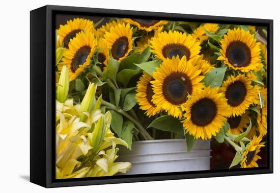 Washington, Seattle, Pike Place Market-Jamie And Judy Wild-Framed Premier Image Canvas