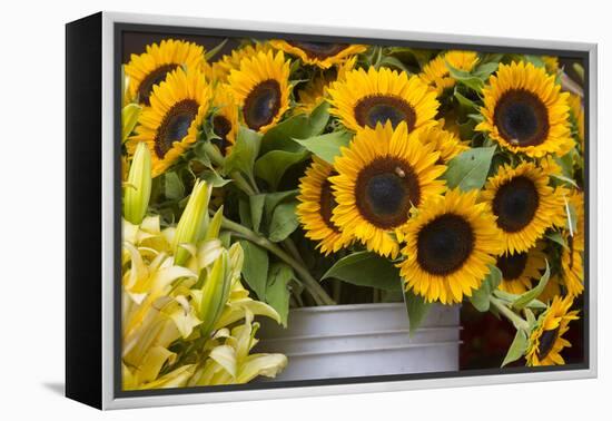 Washington, Seattle, Pike Place Market-Jamie And Judy Wild-Framed Premier Image Canvas