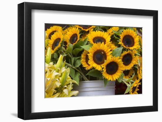 Washington, Seattle, Pike Place Market-Jamie And Judy Wild-Framed Photographic Print