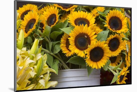 Washington, Seattle, Pike Place Market-Jamie And Judy Wild-Mounted Photographic Print