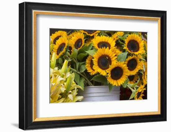 Washington, Seattle, Pike Place Market-Jamie And Judy Wild-Framed Photographic Print