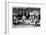 Washington Senators Team, Baseball Photo - Washington, DC-Lantern Press-Framed Art Print