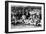 Washington Senators Team, Baseball Photo - Washington, DC-Lantern Press-Framed Art Print