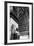 Washington Sq. Arch-Jeff Pica-Framed Photographic Print