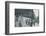 Washington Square, Greenwich Village, New York, USA, 1935-Unknown-Framed Photographic Print