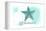 Washington - Starfish - Teal - Coastal Icon-Lantern Press-Framed Stretched Canvas