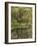 Washington State, Bainbridge Island. Weeping Willow and Pond-Jaynes Gallery-Framed Photographic Print