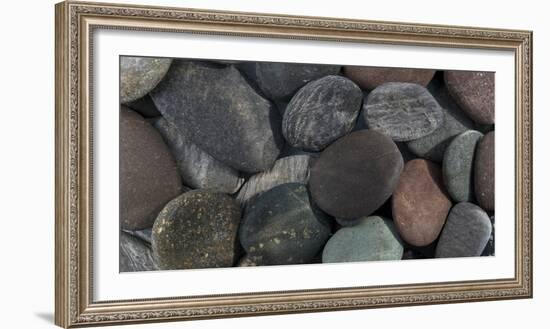 Washington State. Close-Up of Rock Assortment-Jaynes Gallery-Framed Photographic Print