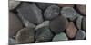 Washington State. Close-Up of Rock Assortment-Jaynes Gallery-Mounted Photographic Print