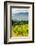 Washington State, Columbia River Gorge. Vineyard with View of Mt. Hood-Richard Duval-Framed Photographic Print