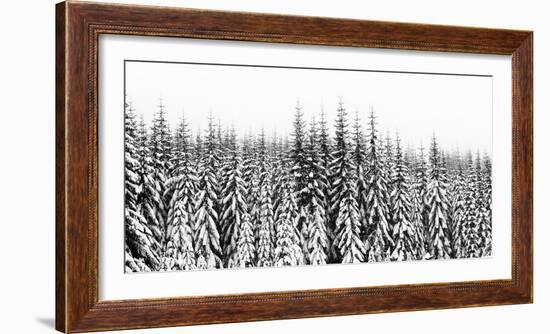 Washington State, Crystal Mountain Area. Winter Snow-Savanah Stewart-Framed Photographic Print