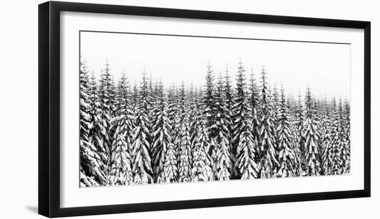 Washington State, Crystal Mountain Area. Winter Snow-Savanah Stewart-Framed Photographic Print