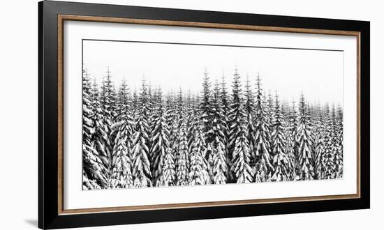 Washington State, Crystal Mountain Area. Winter Snow-Savanah Stewart-Framed Photographic Print