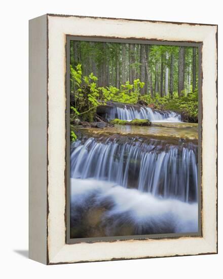 Washington State, Gifford Pinchot NF. Waterfall and Forest Scenic-Don Paulson-Framed Premier Image Canvas