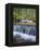 Washington State, Gifford Pinchot NF. Waterfall and Forest Scenic-Don Paulson-Framed Premier Image Canvas