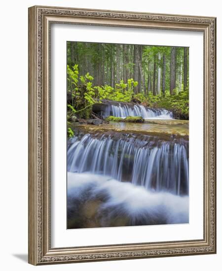 Washington State, Gifford Pinchot NF. Waterfall and Forest Scenic-Don Paulson-Framed Photographic Print