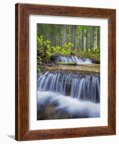 Washington State, Gifford Pinchot NF. Waterfall and Forest Scenic-Don Paulson-Framed Photographic Print