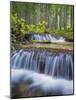 Washington State, Gifford Pinchot NF. Waterfall and Forest Scenic-Don Paulson-Mounted Photographic Print