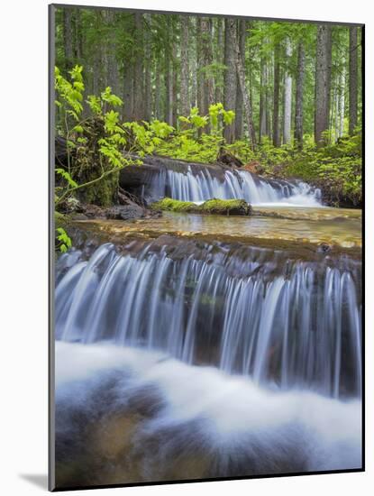 Washington State, Gifford Pinchot NF. Waterfall and Forest Scenic-Don Paulson-Mounted Photographic Print