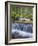 Washington State, Gifford Pinchot NF. Waterfall and Forest Scenic-Don Paulson-Framed Photographic Print