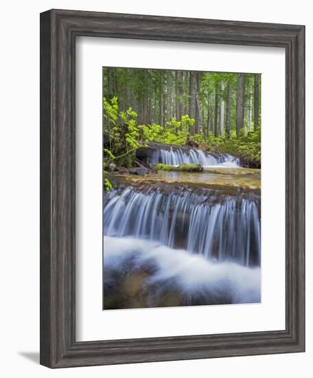 Washington State, Gifford Pinchot NF. Waterfall and Forest Scenic-Don Paulson-Framed Photographic Print