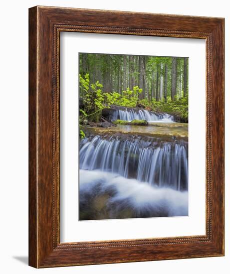 Washington State, Gifford Pinchot NF. Waterfall and Forest Scenic-Don Paulson-Framed Photographic Print