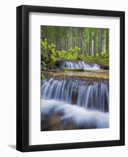 Washington State, Gifford Pinchot NF. Waterfall and Forest Scenic-Don Paulson-Framed Photographic Print