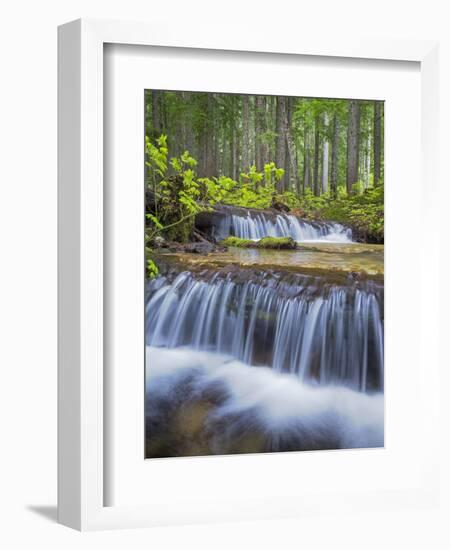 Washington State, Gifford Pinchot NF. Waterfall and Forest Scenic-Don Paulson-Framed Photographic Print