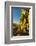 Washington State, Lake Chelan. Riesling Grape Cluster-Richard Duval-Framed Photographic Print