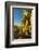 Washington State, Lake Chelan. Riesling Grape Cluster-Richard Duval-Framed Photographic Print