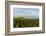 Washington State, Lake Chelan. Vineyard-Richard Duval-Framed Photographic Print