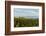 Washington State, Lake Chelan. Vineyard-Richard Duval-Framed Photographic Print