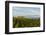 Washington State, Lake Chelan. Vineyard-Richard Duval-Framed Photographic Print