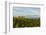 Washington State, Lake Chelan. Vineyard-Richard Duval-Framed Photographic Print